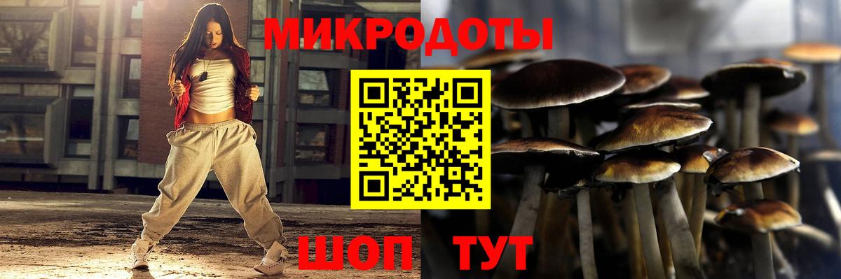 Галлюциногенные грибы прущие грибы Осинники