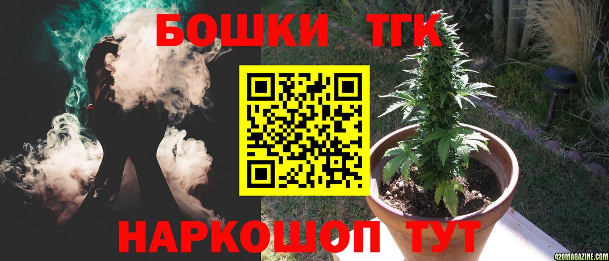 Бошки Шишки планчик Осинники